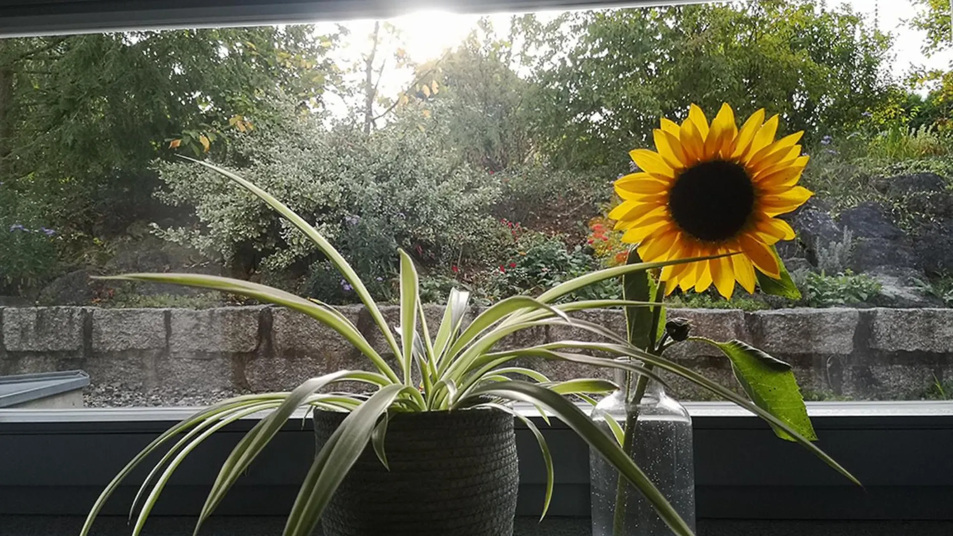 Ferienwohnung Morgenlicht Baunach Germany